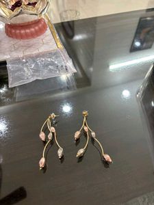 Fashion Earrings