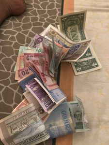Mixed Currency Collection (20 note)