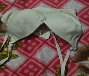 Combo Of 2 Padded Bra