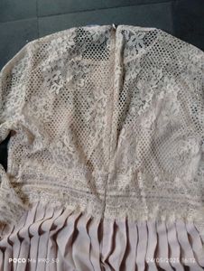 Zara Dress 45 Dollars