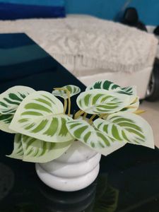 Artificial Plants Decor