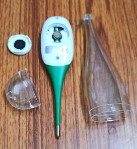 Carent Digital Thermometer