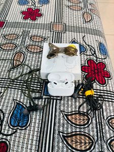 AirPods Pro & Wired Earphones