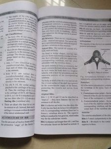 Biomechanics Study Notes