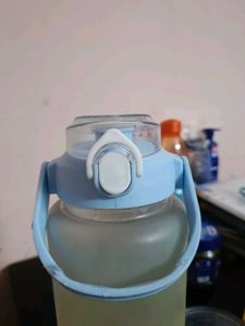 2 Litre Bottle