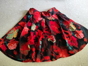Skirt And Top Set