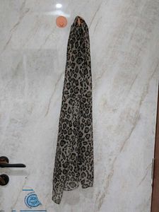 Stylish Scarves - Set of 2