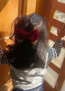 Velvet Hair Bow🎀🎀
