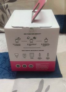 natural Cosmos Flower Grow Kit