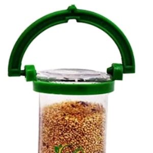 Bird Feeder
