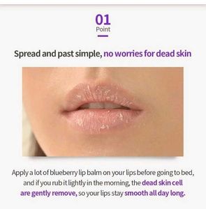 FRUDIA Blueberry Hydrating Honey Lip Balm