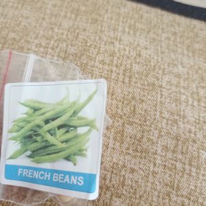 Variety Of Beans Seeds