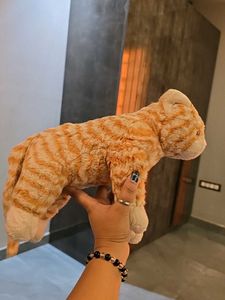 Cute Plush Cat Toy