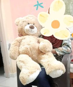 Tedy Bear