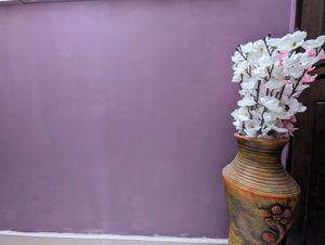 Asian Paints Lavender Paint