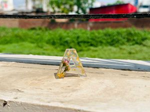 Resin alphabets Keychains