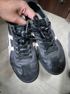 Onitsuka Tiger Mexico 66 Sd
