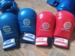 Karate/MMA Sparring Gear Set