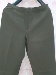ZARA BASIC LIMITED EDITION Brown Career Pants