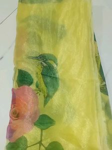 Pure Organza Saree
