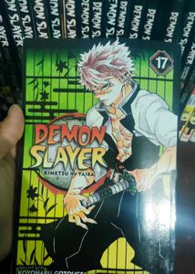 Demon Slayer &amp; Chainsaw Man Manga Lot