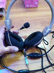 Headphones Working Mic Is Not Workin