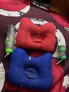 Pet Accessories