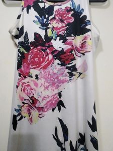 Bodycon Dress (Stretchable)