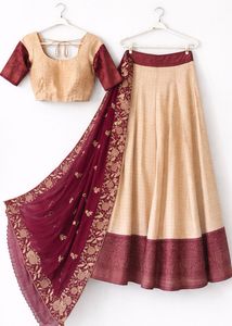 Elegant Lehenga Choli Set