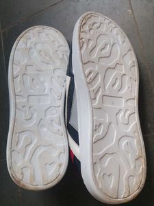 Men Sneakers