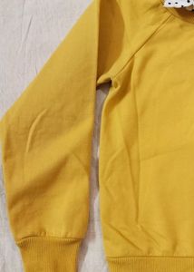 Korean sweater with fake collar