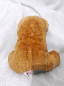 TEDDY BEAR