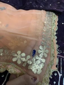 Elegant Lehenga Choli Set