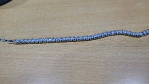 Sparkling sterling Silver Bracelet