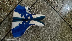 Blue & White Sport Shoes