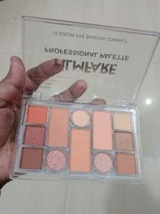 Filmfare Professional Palette.