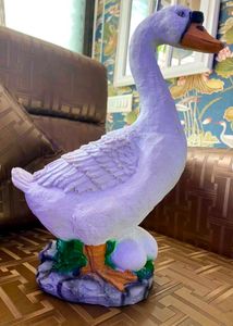 Combo Beautiful Collectible Nd Decoratible Item
