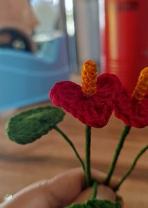 Crocheted Anthurium Plant