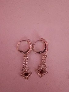 Elegant Dangle Earrings