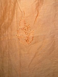 Chanderi Silk Orange chikankari Kurti