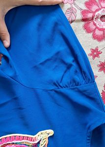 Blue Owl Applique Top