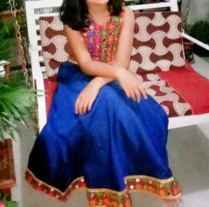 Lehenga skirt & blouse