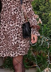 Leopard Print Dress