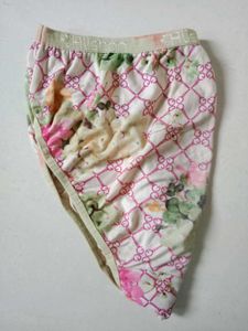 Women 2xl Brief Panty