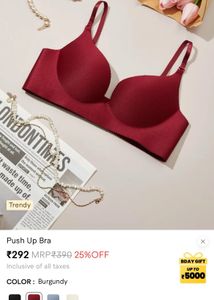 Push Up Bra