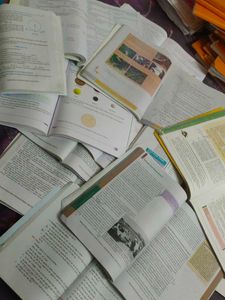 Class 10 th Ncert Books cbse Course