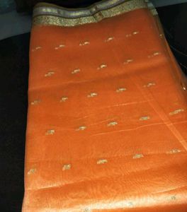 Unused Festive Wear  Sari with Gold Borde