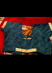 Elegant Embellished Sari