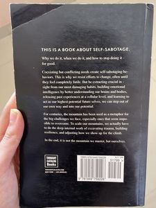 THE MOUNTAIN IS YOU- Self Help Book