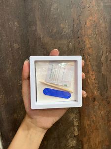 Cat Eye Nail Set - New